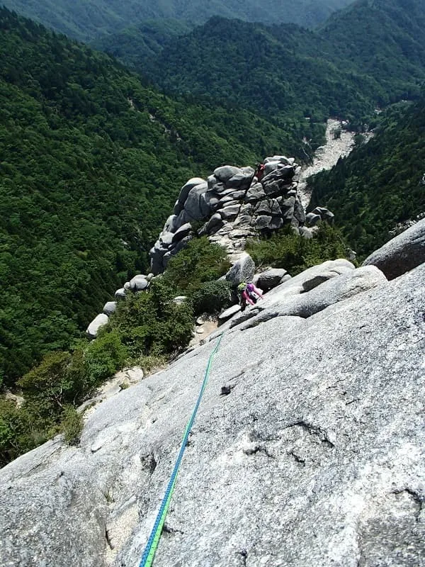 フォローの西本Y