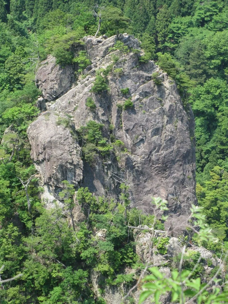 Featured Image