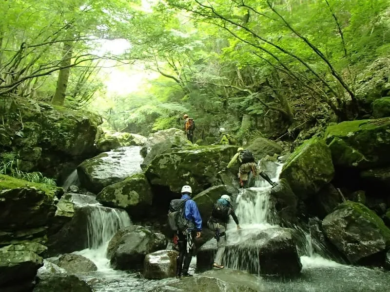 いつもより多い水量で小滝の連続