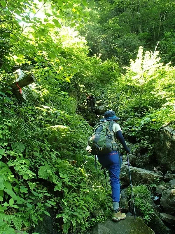 仙谷コースを歩く