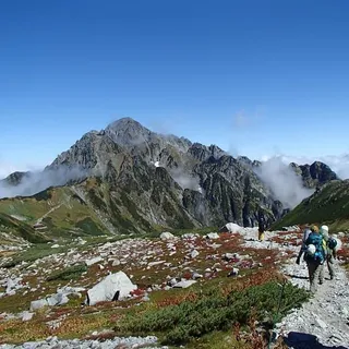 Featured Image