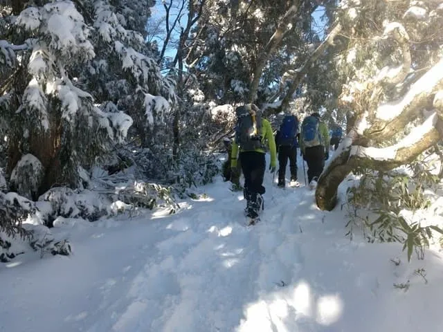 千本杉からワカン歩行の訓練