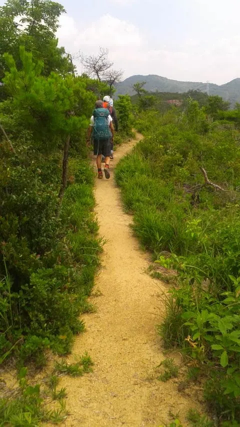 歩荷トレーニング