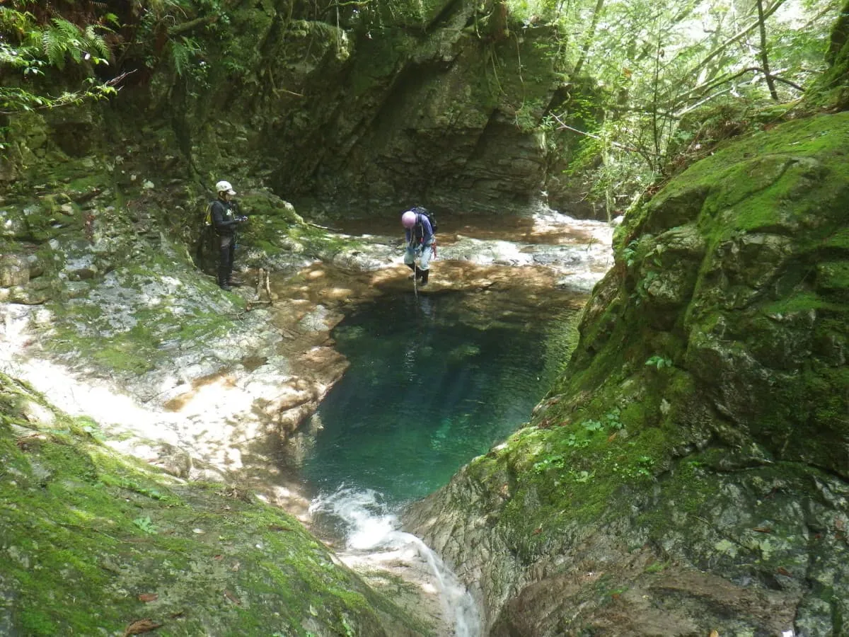 飛び込んだり泳いだり