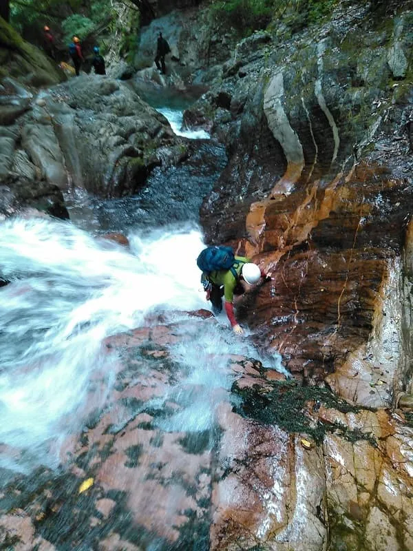 吉田さんがまた