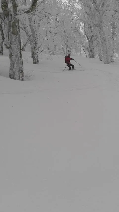 ワサビ谷をスキーで下る
