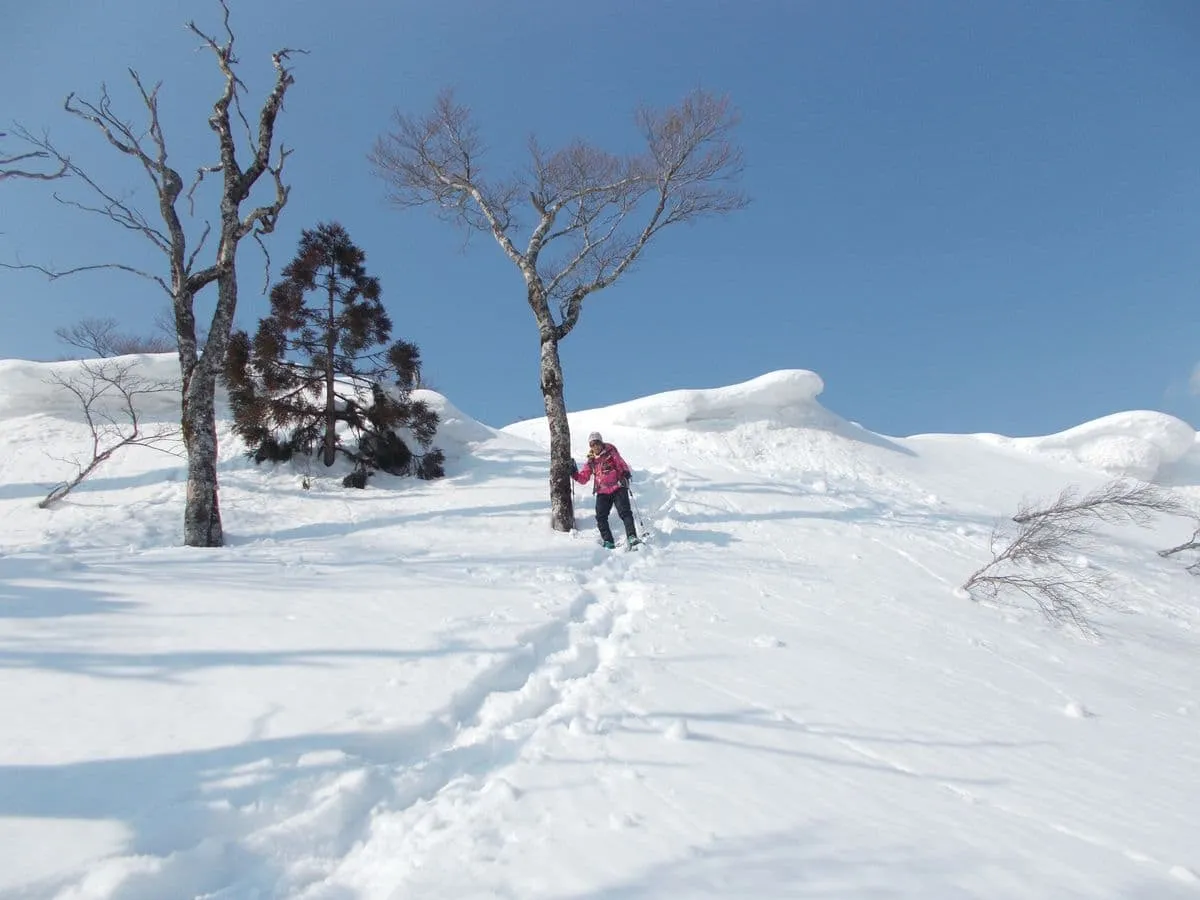 今回はここまで