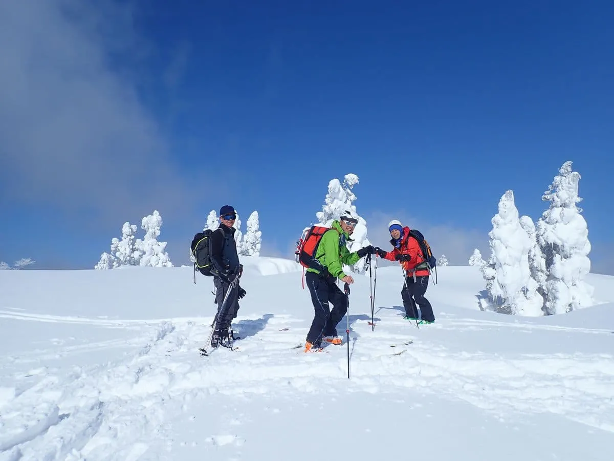 モンスターがお出迎え