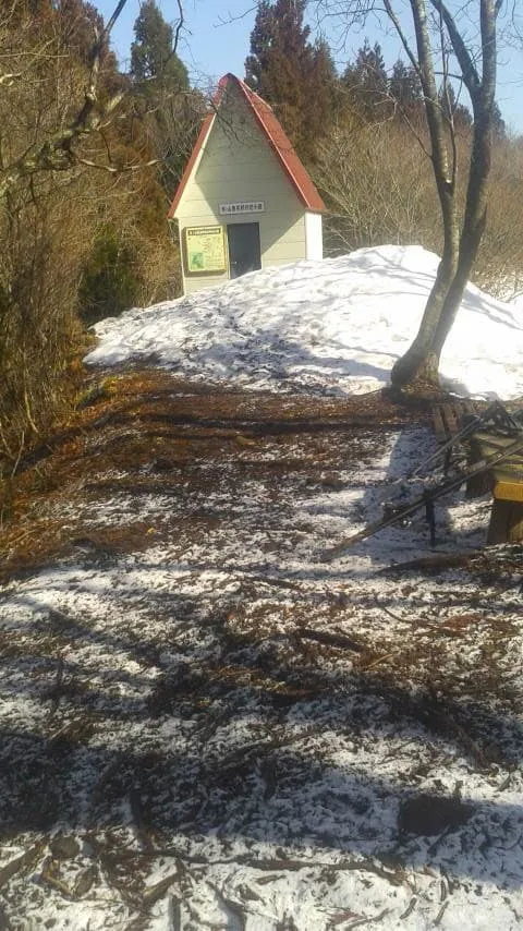 雪がない、、、