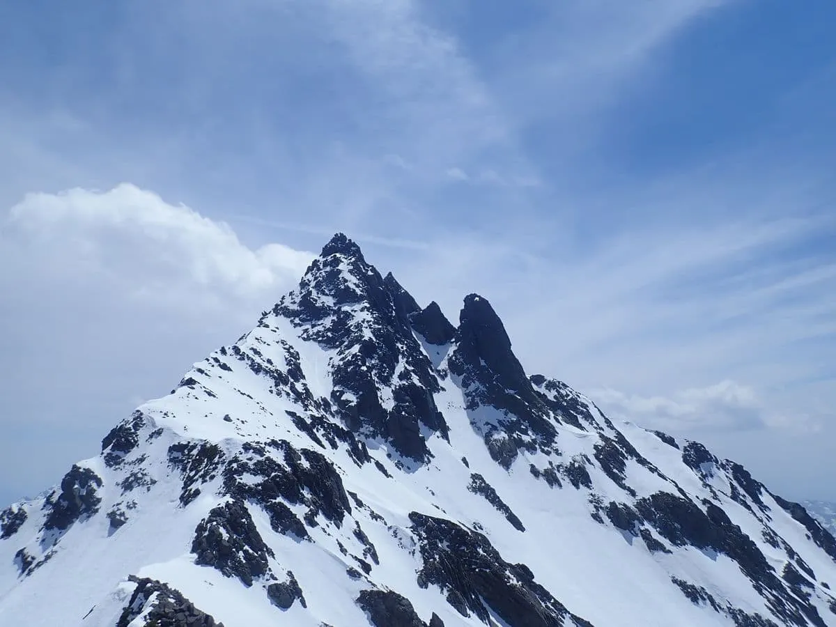 穂先が射程圏内に
