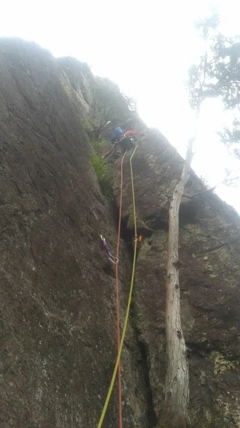 ジェードルをリードする金澤さん