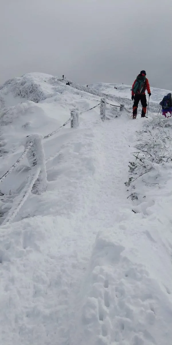 この時期でも木道にはわずかな積雪でした
