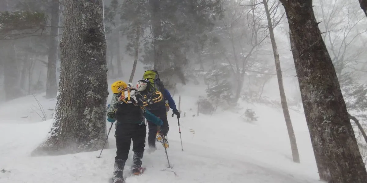 樹林帯に関わらず強風が襲う