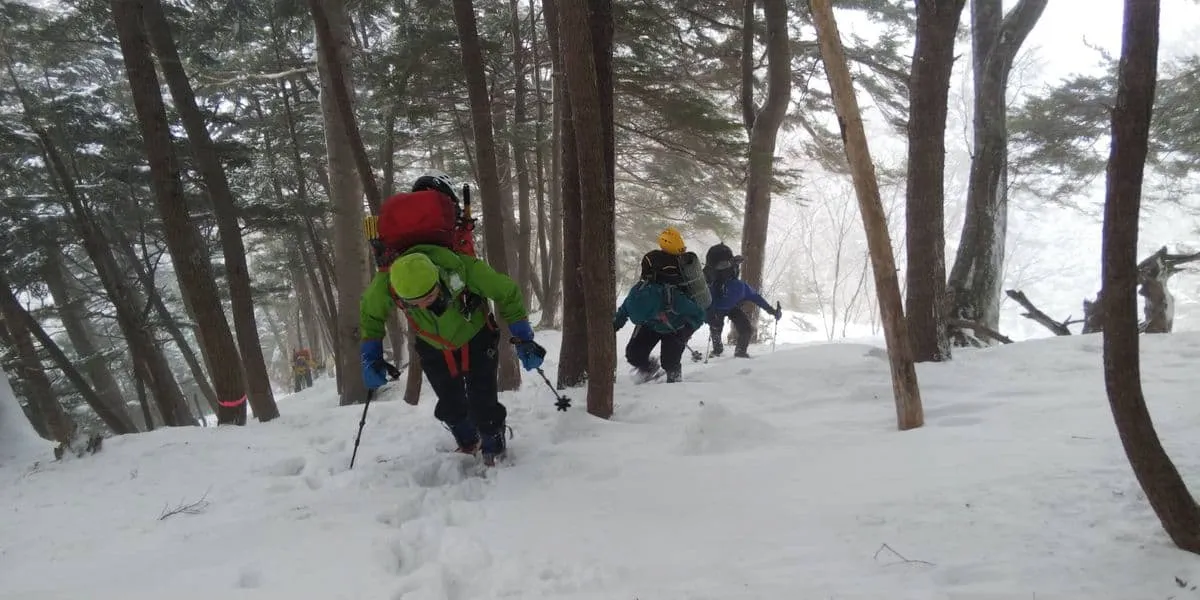 急登に次ぐ急登