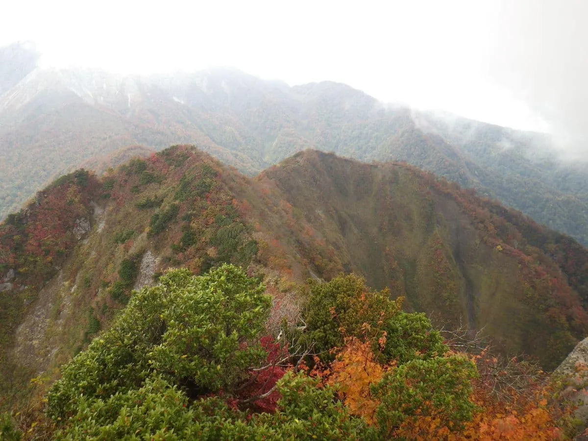 大山方向と鳥越峠へ向かう縦走路