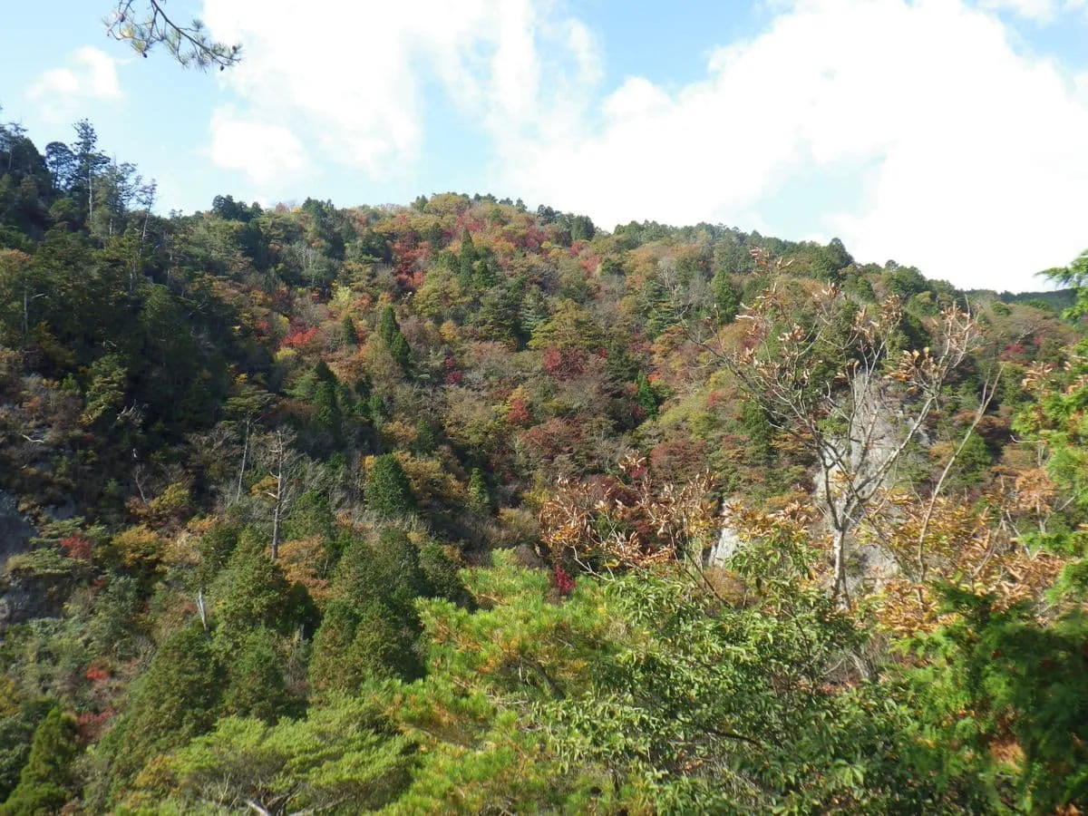 地蔵の頭から撮影