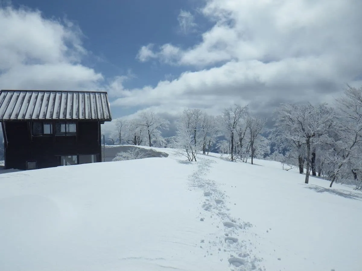 山頂避難小屋付近の様子