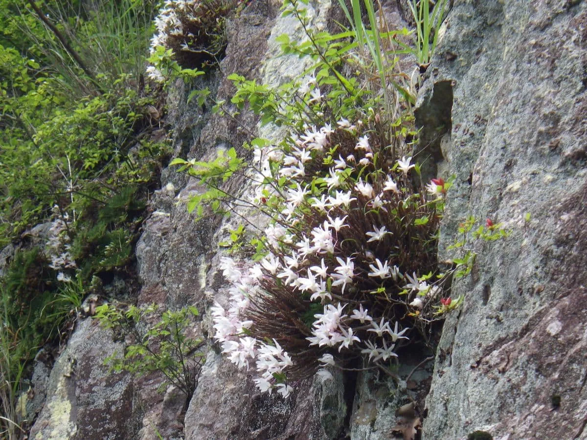 やっと出逢えた