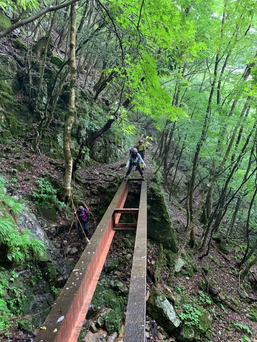 レール跡を恐る恐る