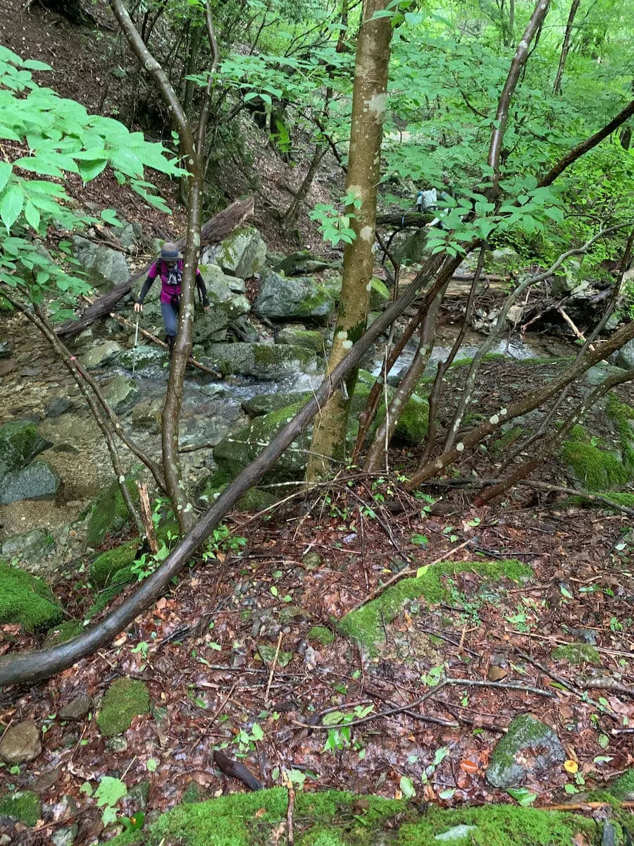 渡渉もあります