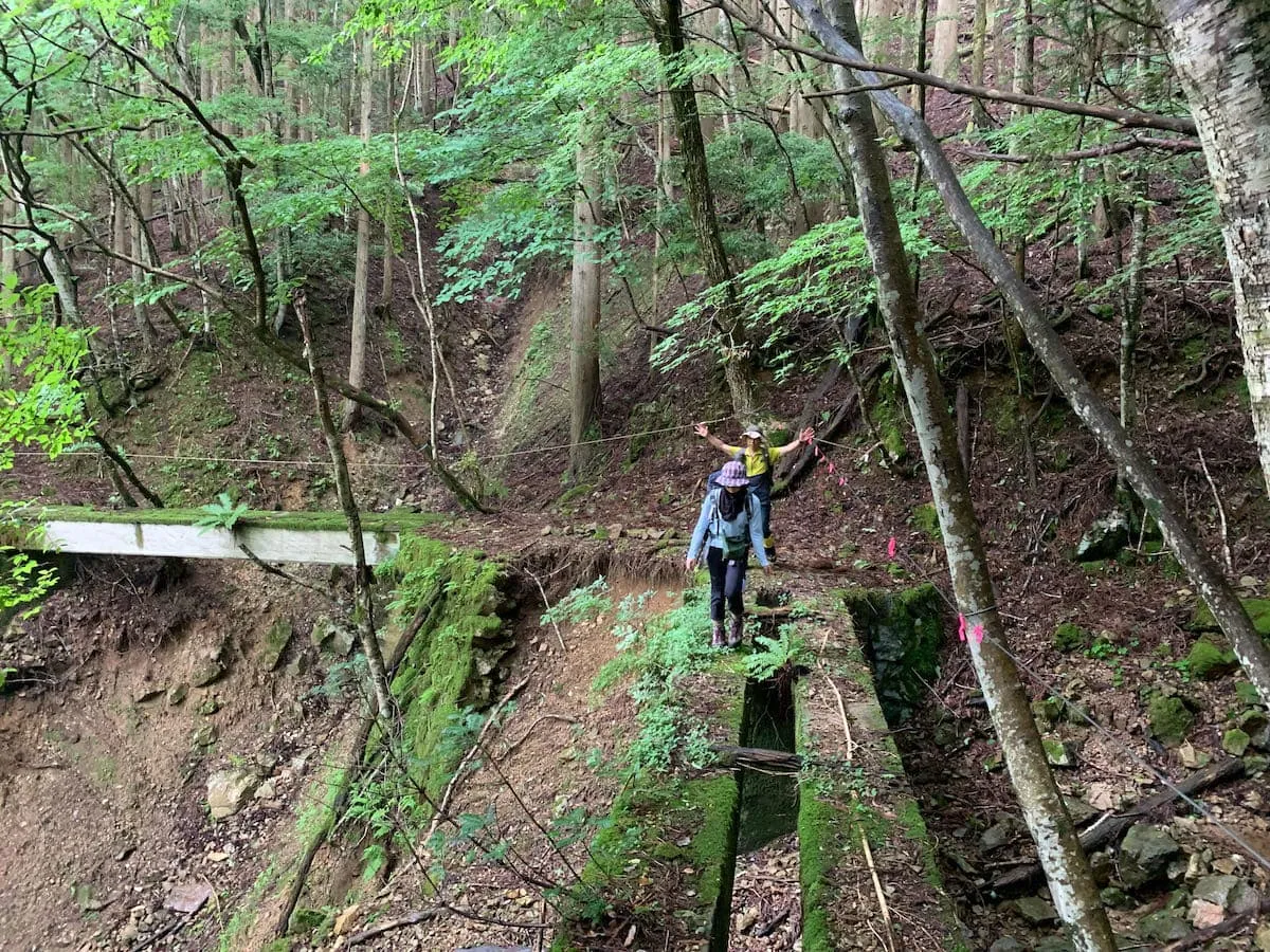 枕木はもう朽ち果ててありません