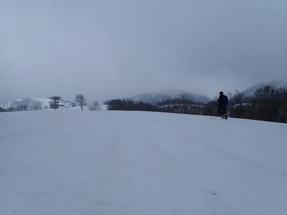 ワカンでも力強い