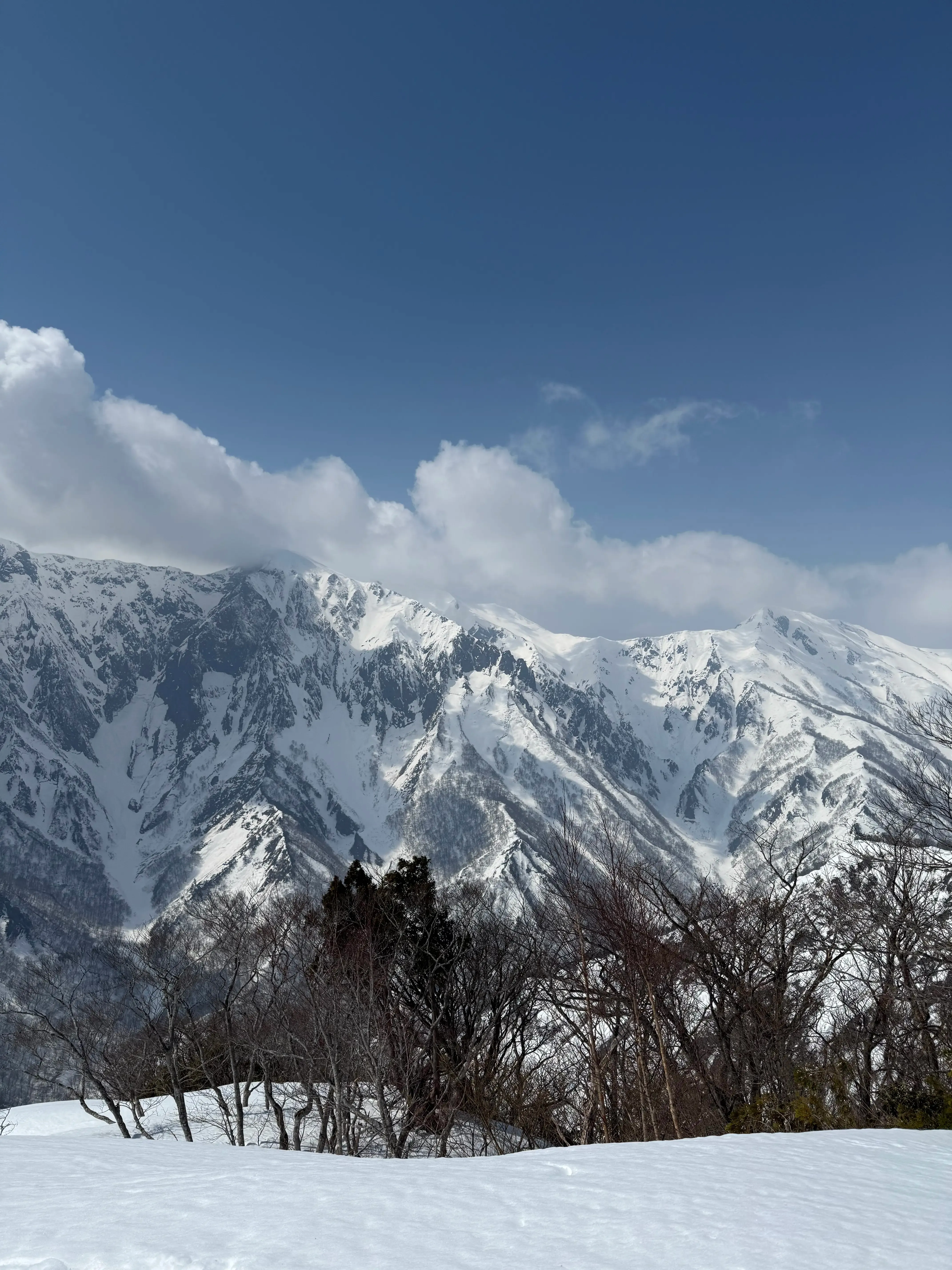 大迫力の谷川連峰