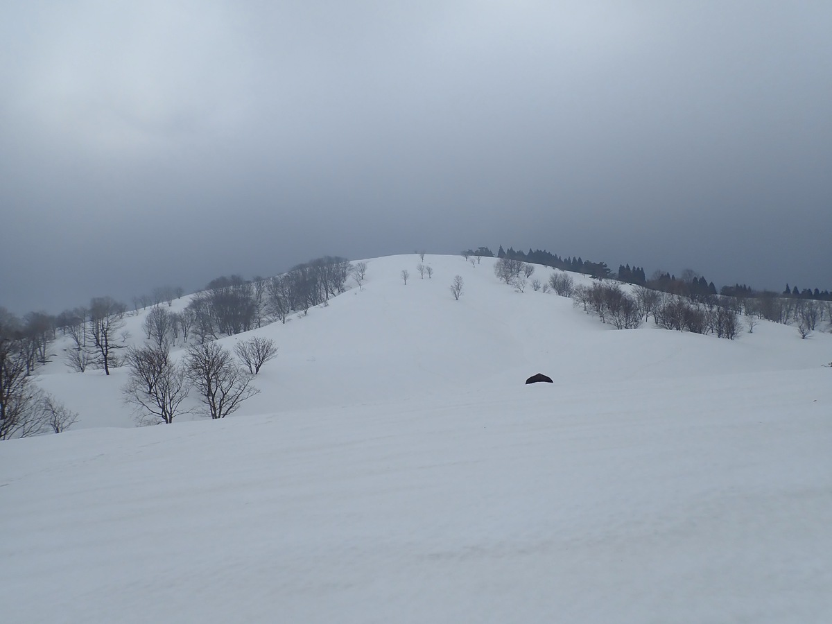 上山高原も雪はたっぷり